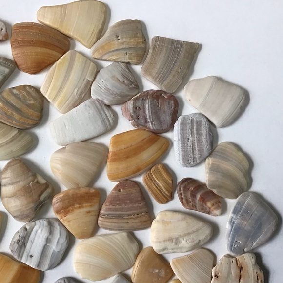 100 Seashell Fragments Smooth Natural Clam Shell Pieces Jewelry Art Crafts Decor - Picture 3 of 6